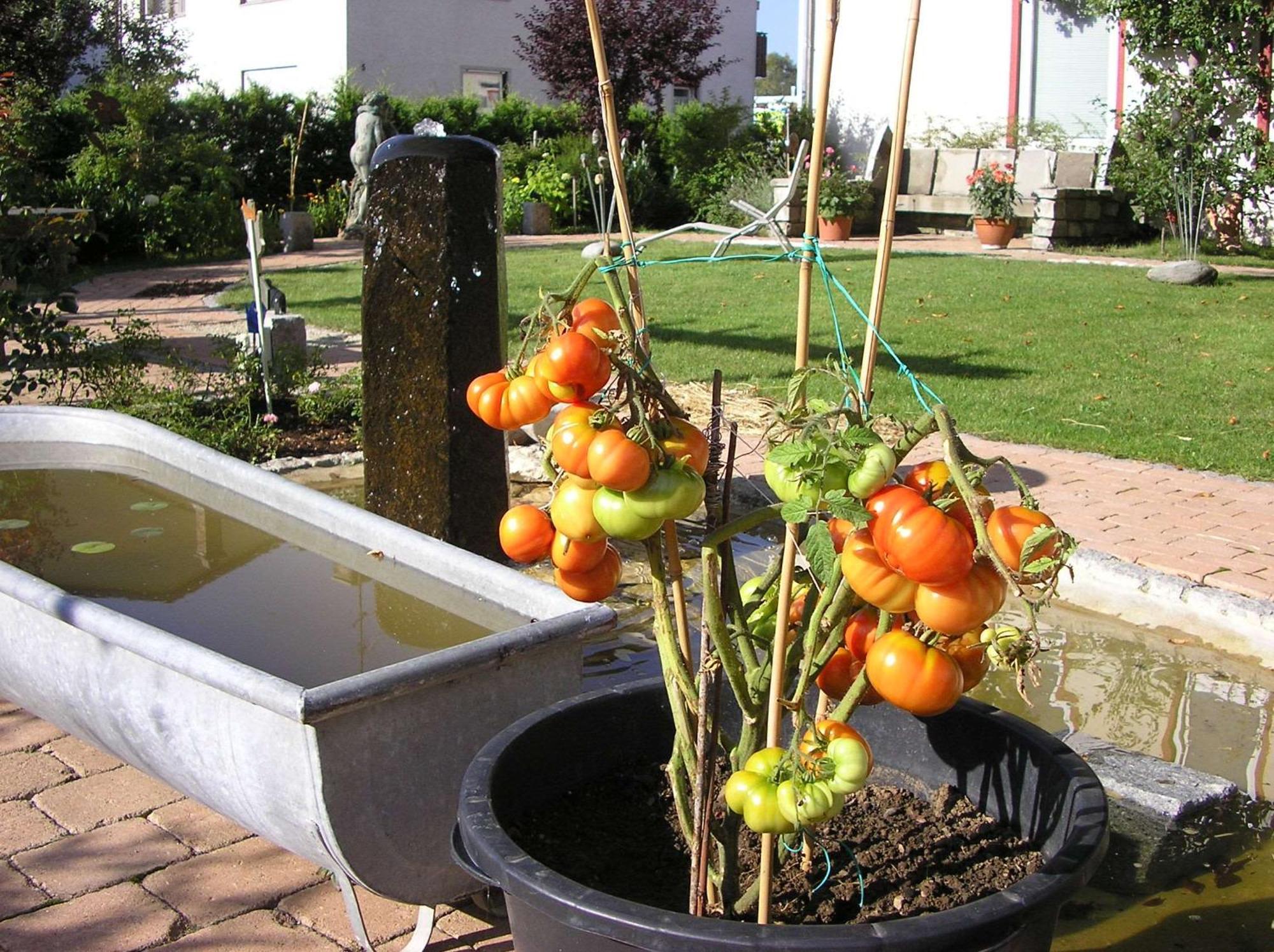 מארקטאוברדורף Arthotel Ana Panorama מראה חיצוני תמונה